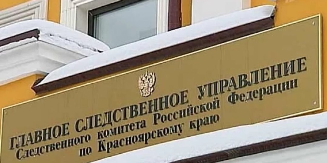 Иноагенту Толоконниковой заочно предъявили обвинение в преступлении