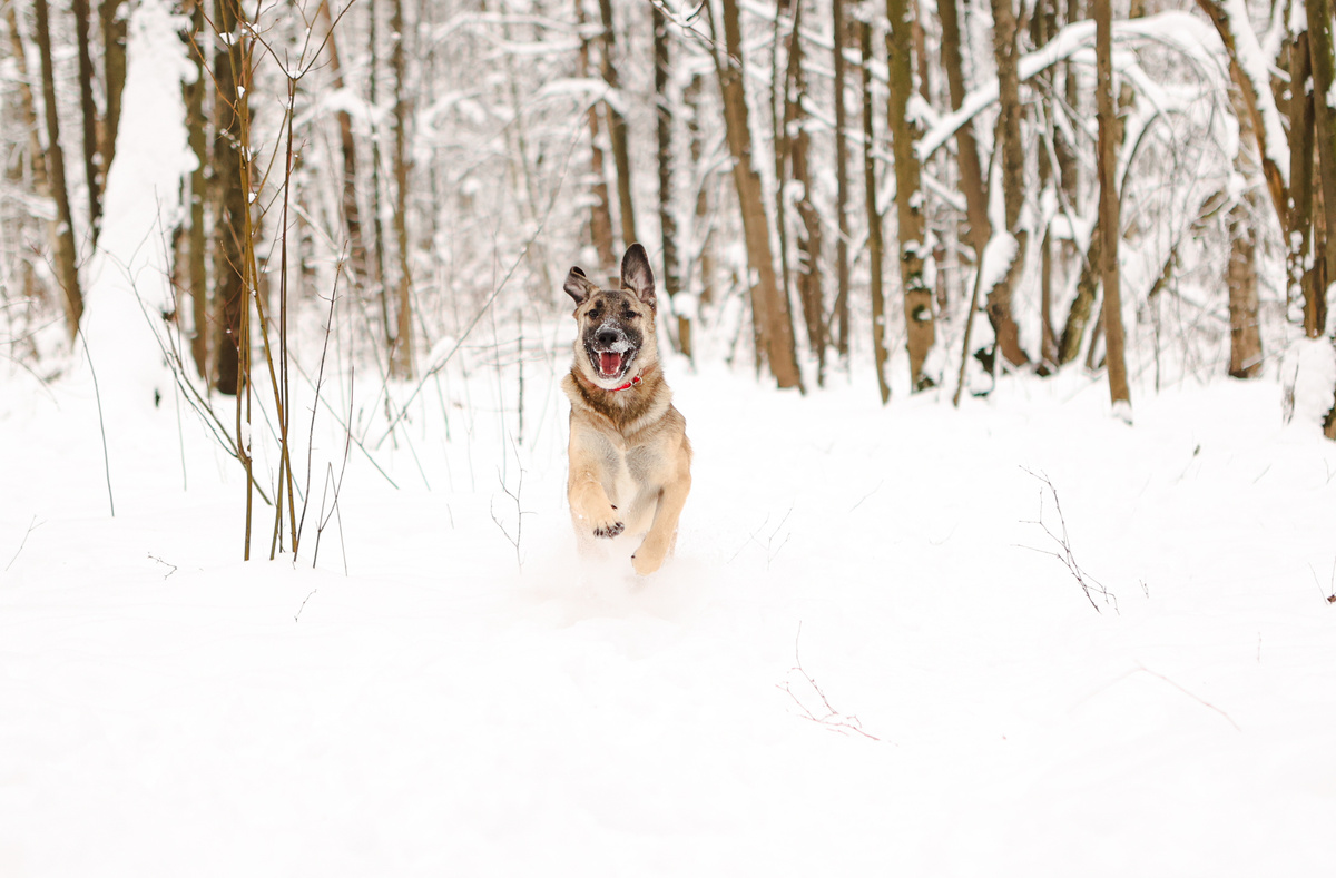 МааааааааМ! Меня выбери, меня!!!