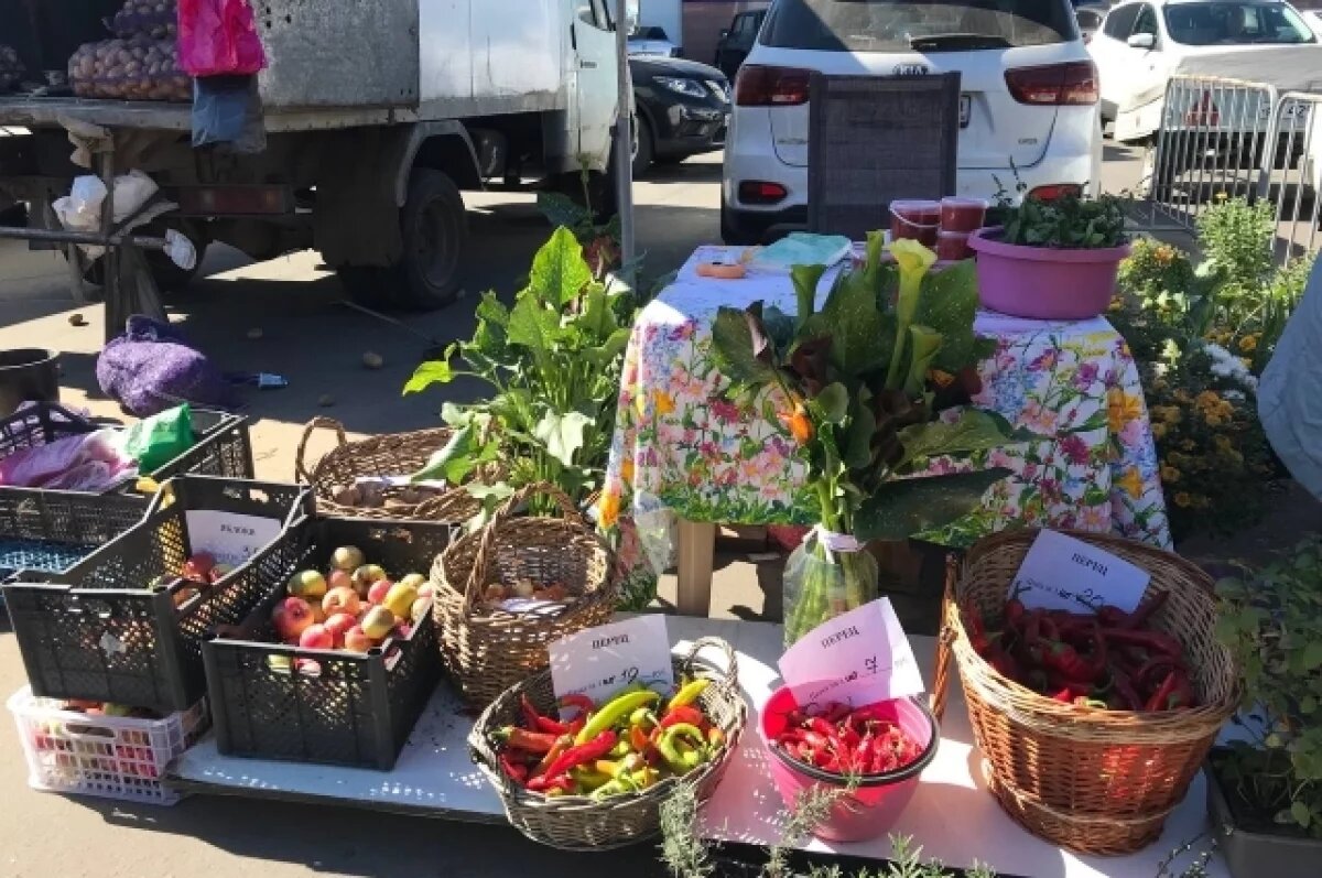    Мэрия сообщила адреса овощных базаров, которые откроются 4 апреля в Брянске