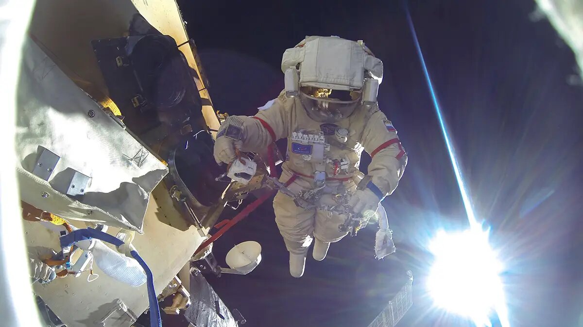    Источник: vm.ru/ Василиса Ермакова