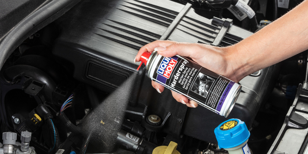 Крысы под капотом. Как избавиться от грызунов