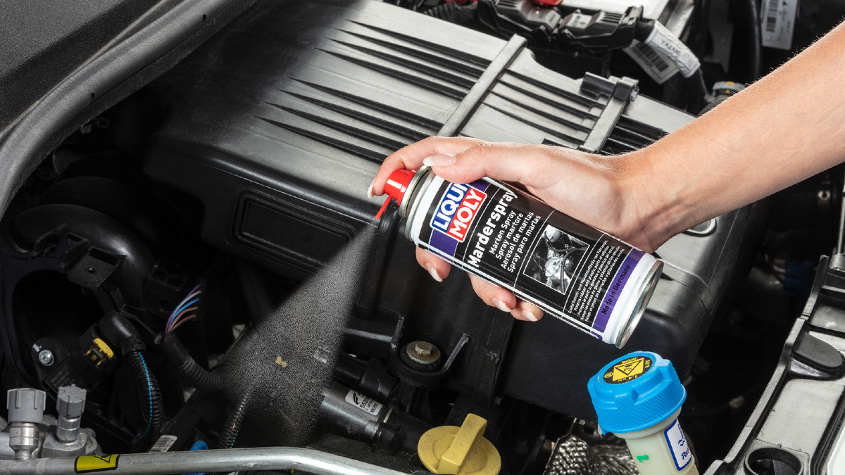 Защитный спрей от грызунов Marder-Spray