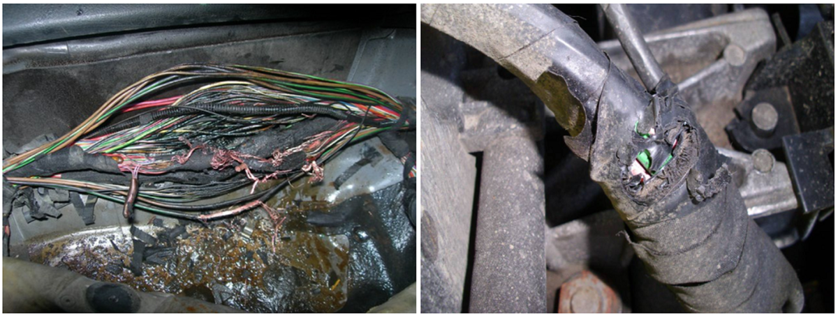 Последствия «работы» грызунов