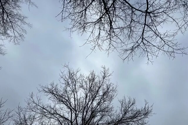    Какая погода ожидается в Туле на Пасху?