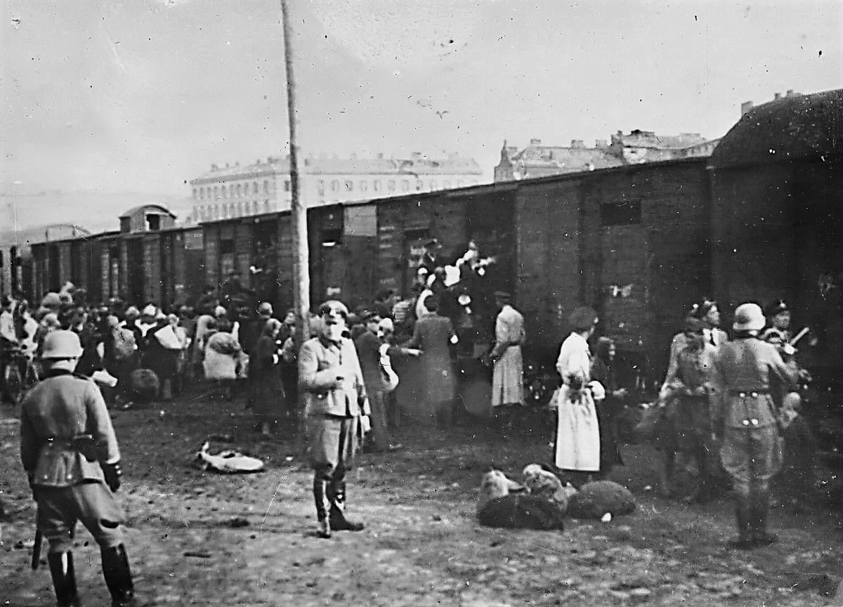 Фото из свободных источников.