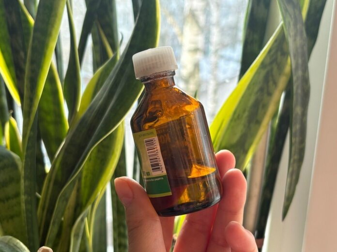    Фото: v-kurse.ru