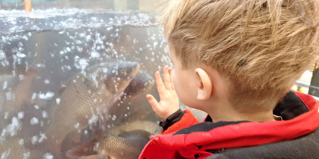 Аутизм. К какой цели идем