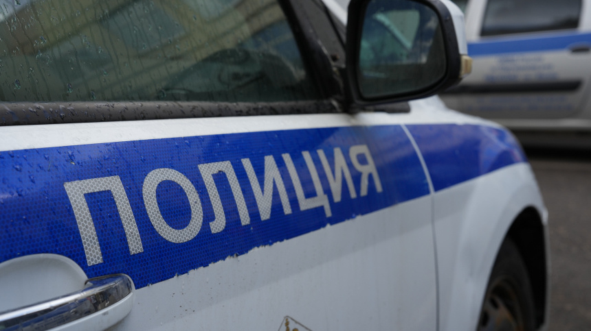    Фото: ИЗВЕСТИЯ/Дмитрий Коротаев; 5-tv.ru