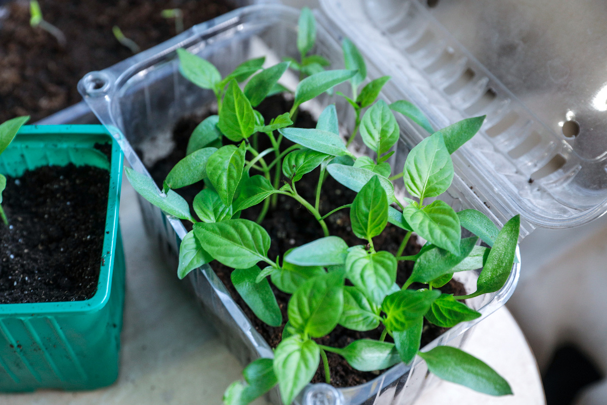 Фото Нины Щербаковой