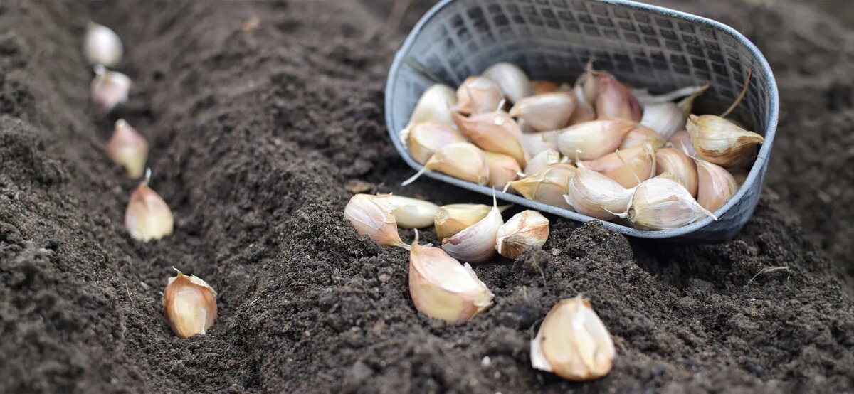 Фото Нины Щербаковой