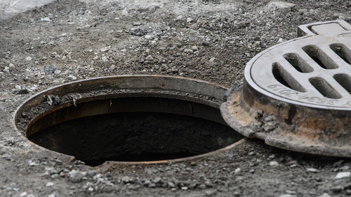    Фото: Ilya Moskovets/globallookpress.com