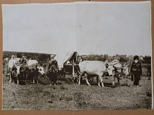    Первые переселенцы Анапы.