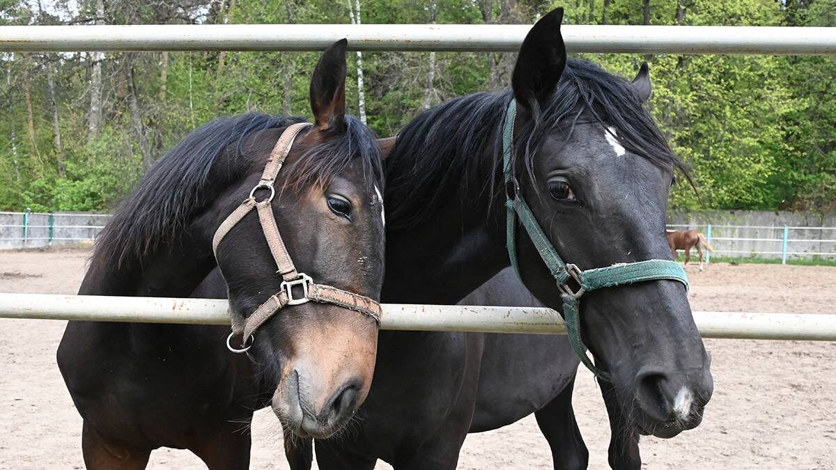    Фото: Мария Хапцова / Вечерняя Москва