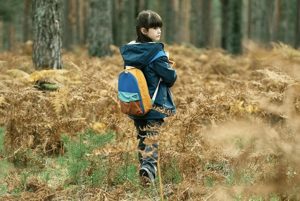 Триллер, драма. Испания. В главных ролях: Белен Куэста, Хоакин Фурриэль, Кандела Мартинес, Энрик Окер.