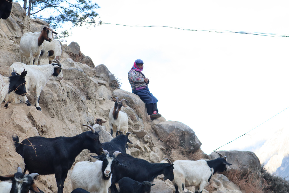 Ущелье прыгающего тигра, Tiger Leaping Gorge