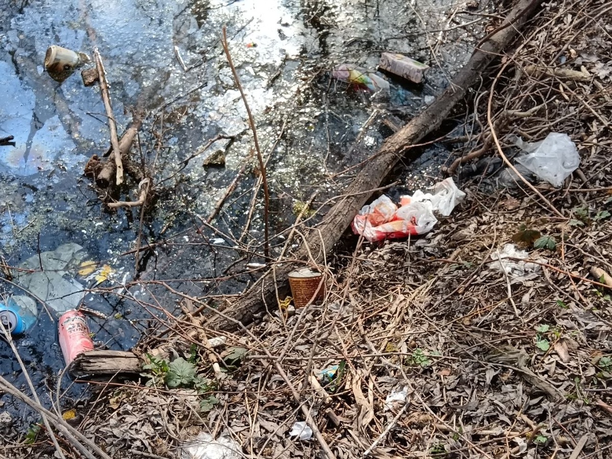 Фото: Тульская служба новостей