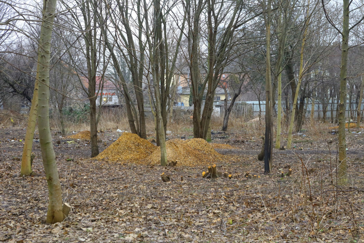 Фото из архива rugrad