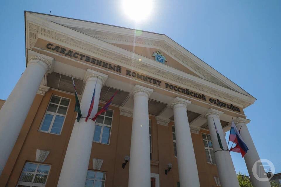    фото: Дмитрий Рогулин / "Городские вести"