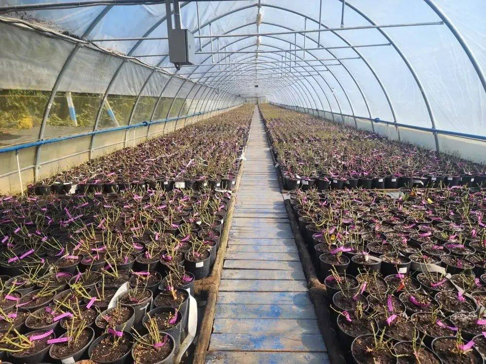 Фото: Ирина Кузова