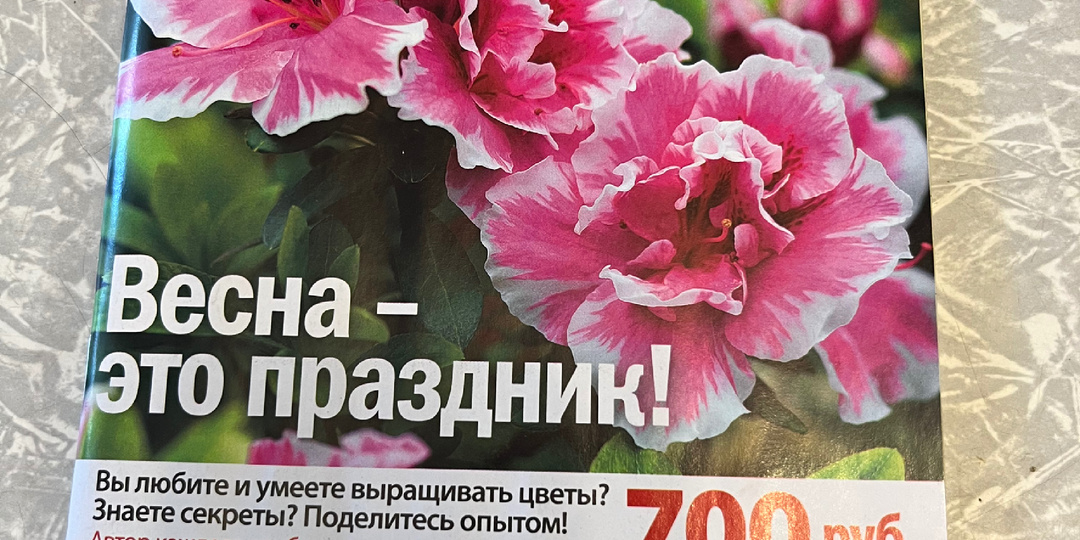 Дзен или журналы, где меня читают.