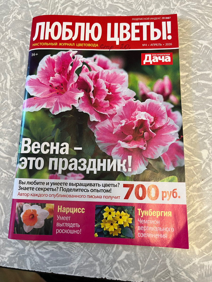 Очередной журнал.