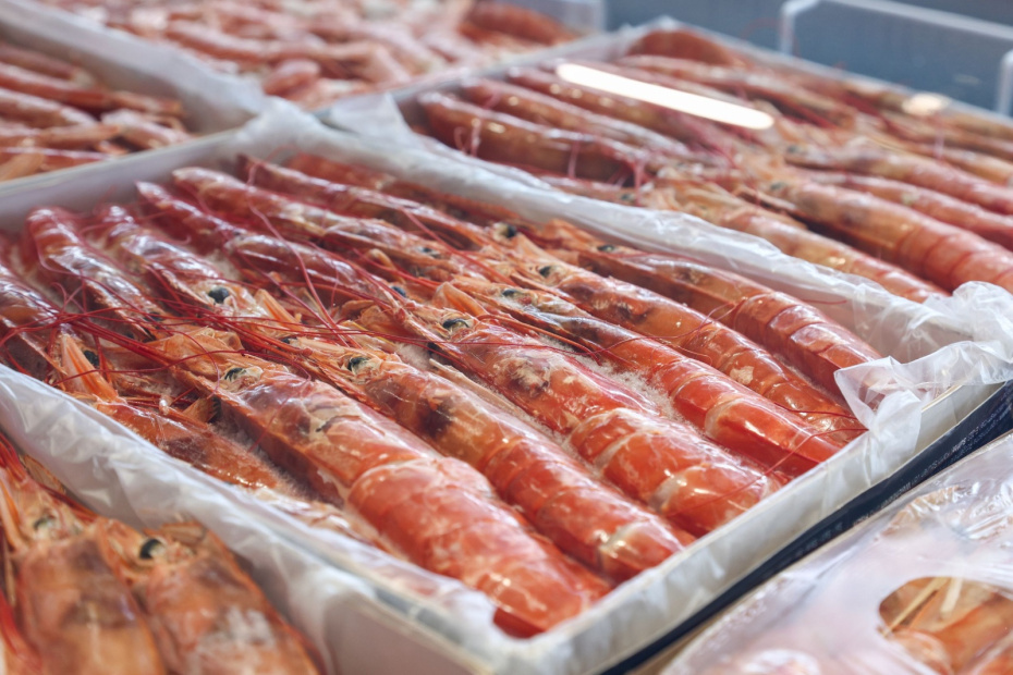    Наталья Шатохина/NEWS.ru