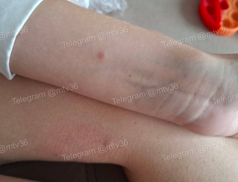     Фото: из группы «Мой и твой Воронеж»