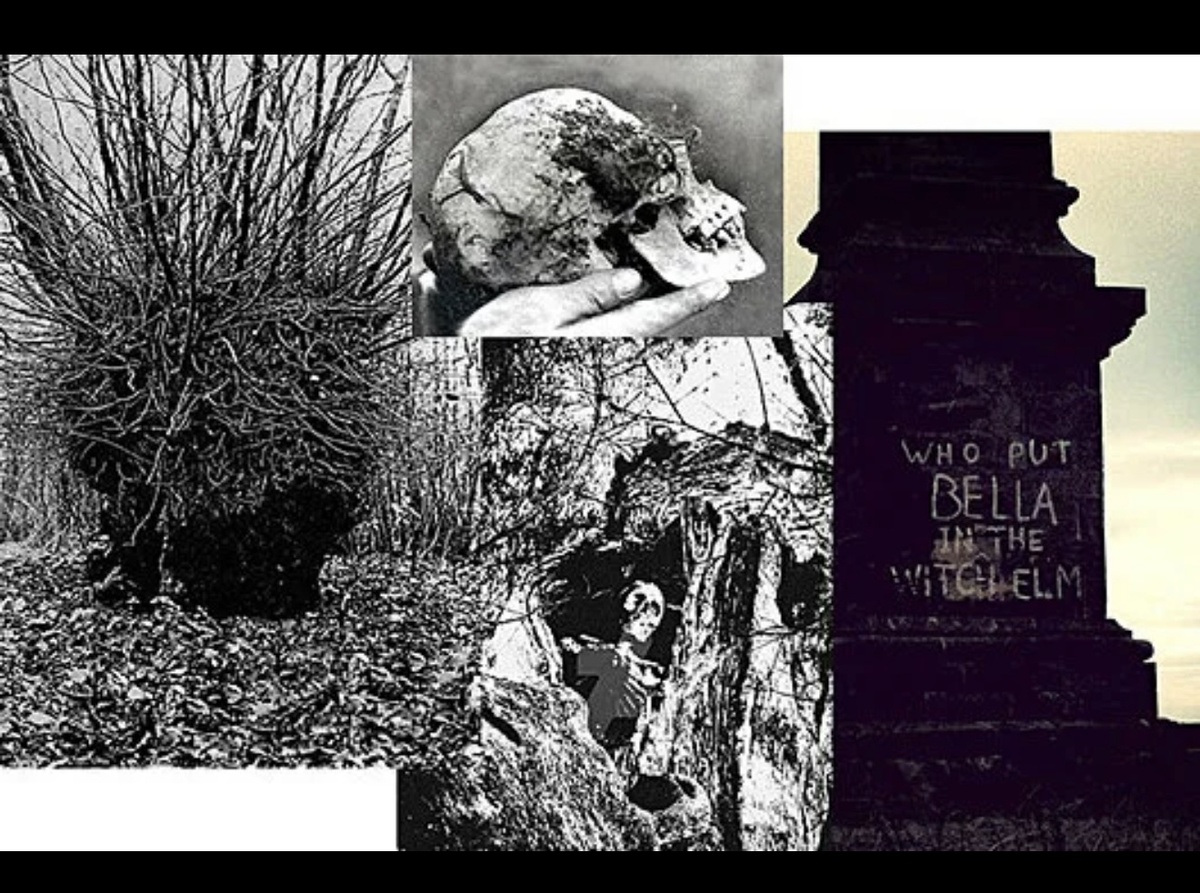 Найдено в Яндекс Картинках по запросу ««Ведьмин вяз»: тайна женщины, которую нашли в дереве, и граффити, преследовавшее Англию 70 лет»