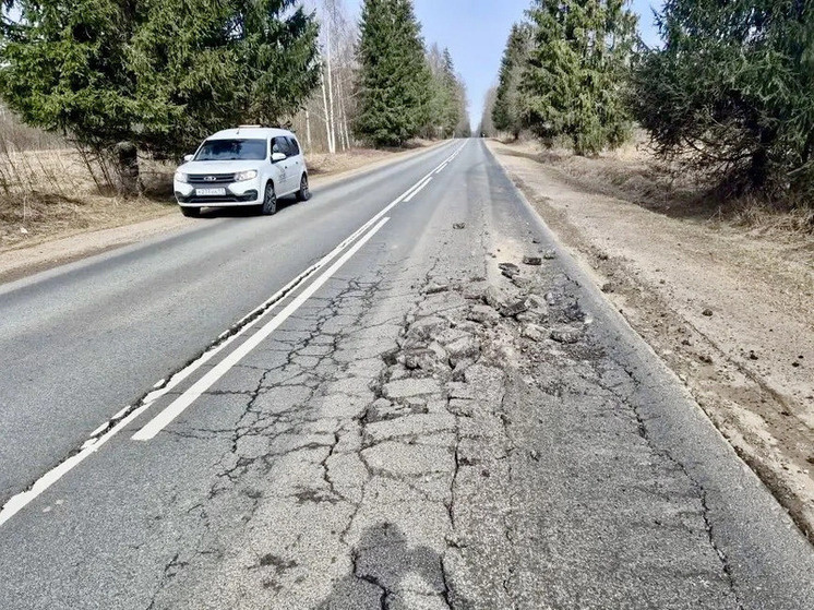     Подрядчик выполнит выборку слабых и пучинистых грунтов с последующим усилением основания дорожной одежды. Фото: пресс-служба «Новгородавтодора»