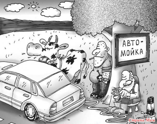 Карикутура со stranamam.ru