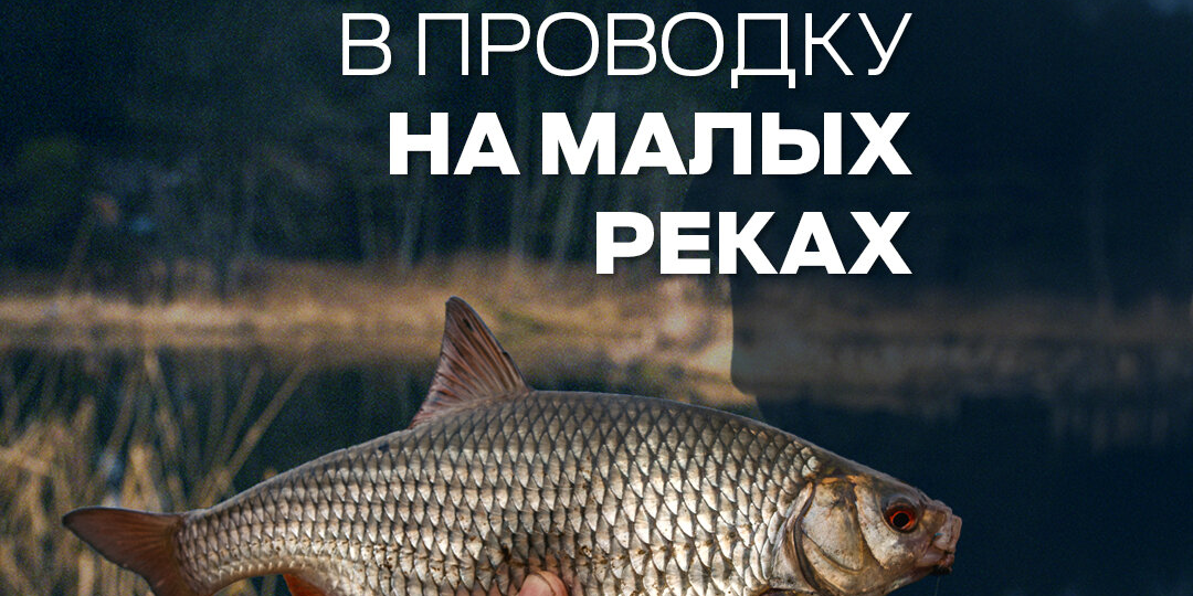 Ловля в проводку на малых реках