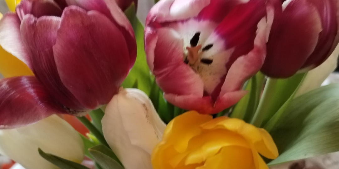 Весеннее настроение