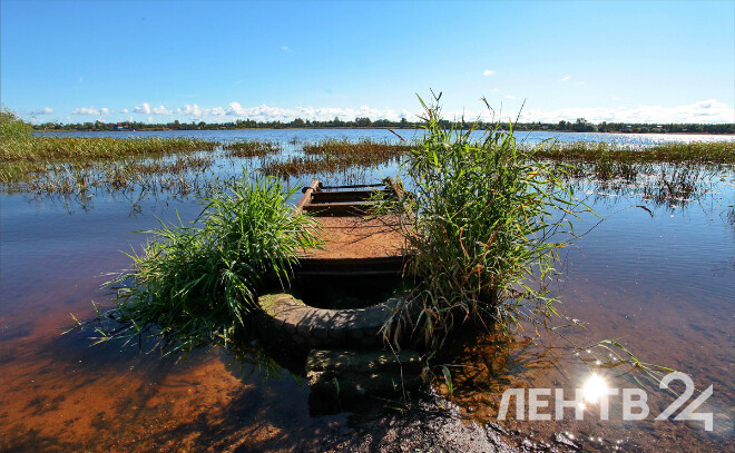    © Анастасия Илюшина / ЛенТВ24, архивное фото