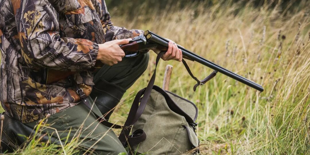 Нормы и квоты добычи: в чем разница и зачем об этом знать охотнику?