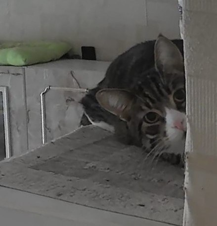 Ну, бывало, что и не подпускал!