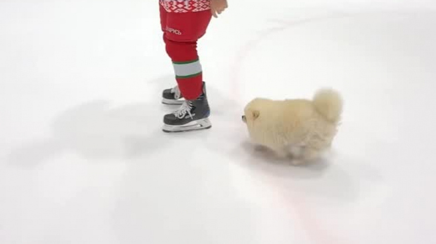    Фото: Instagram*/pul_inside; 5-tv.ru