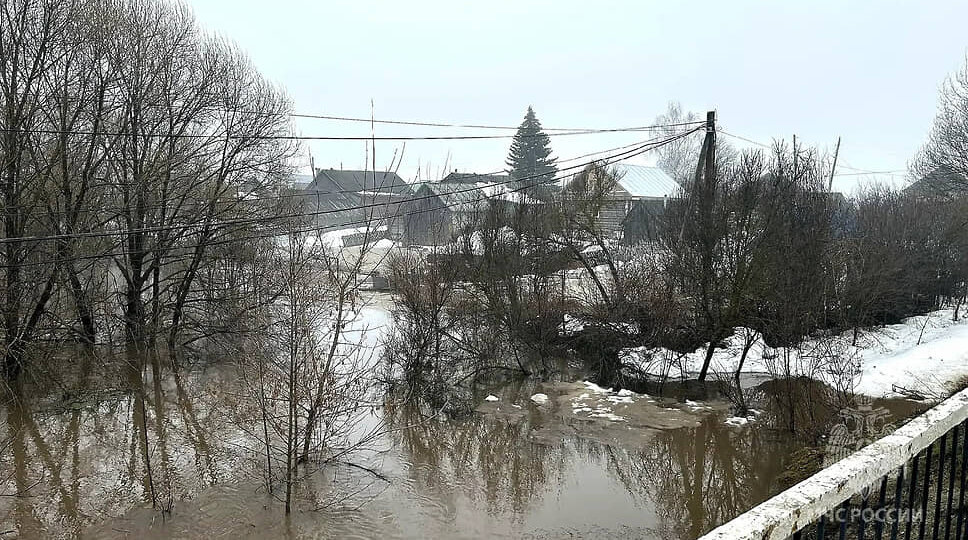 Три моста и 28 придомовых территорий затопило в Нижегородской области 2 апреля