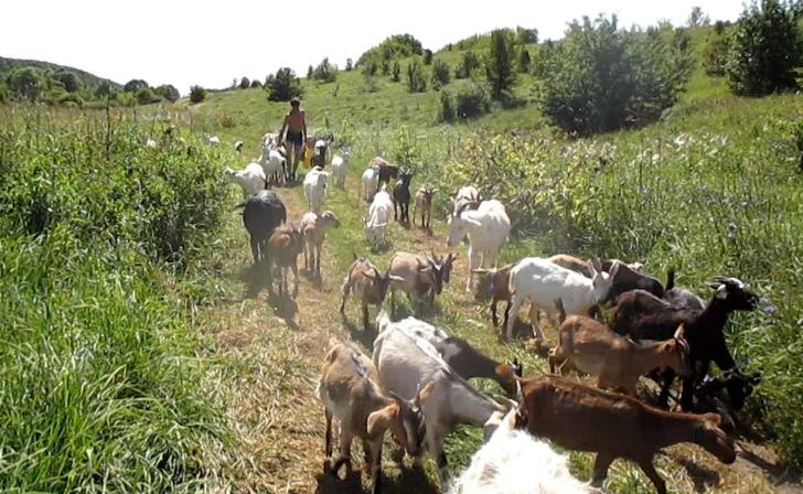   фото Курские известия