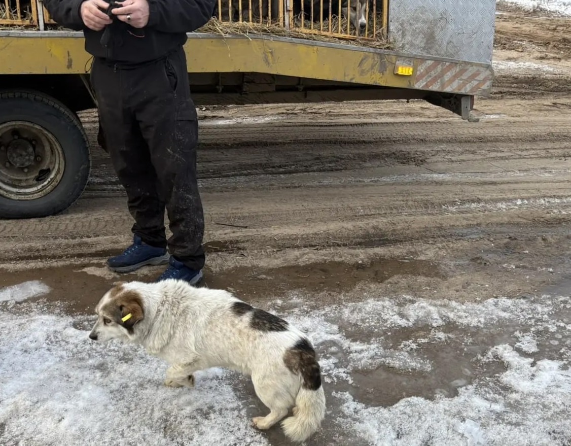 Фото из канала мэра Чунского округа Николая Хрычова