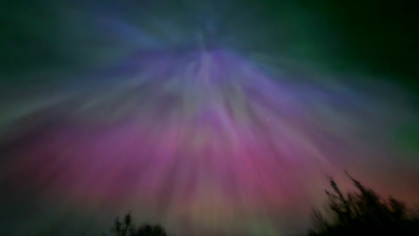    Фото: Ирина Лебедева