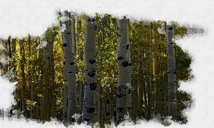 Изображение от freepik  📷
