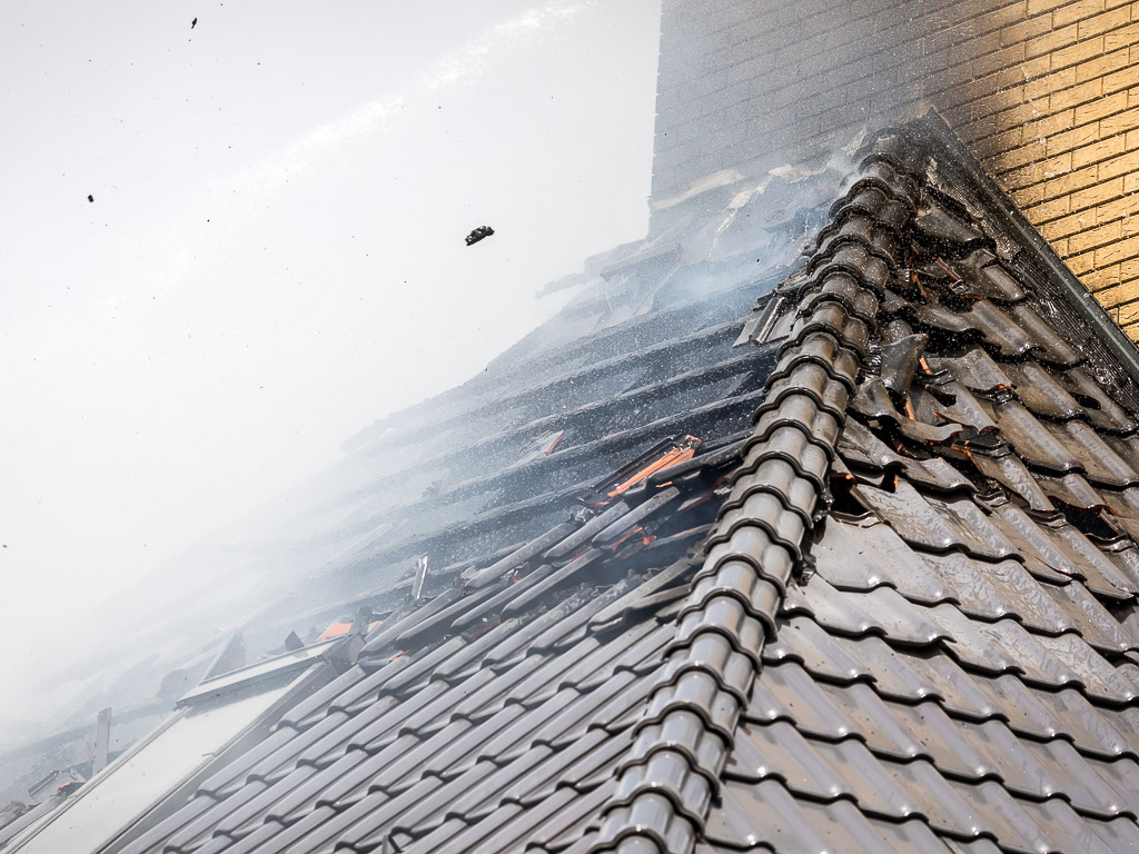     Фото: Павел Колядин (архив)