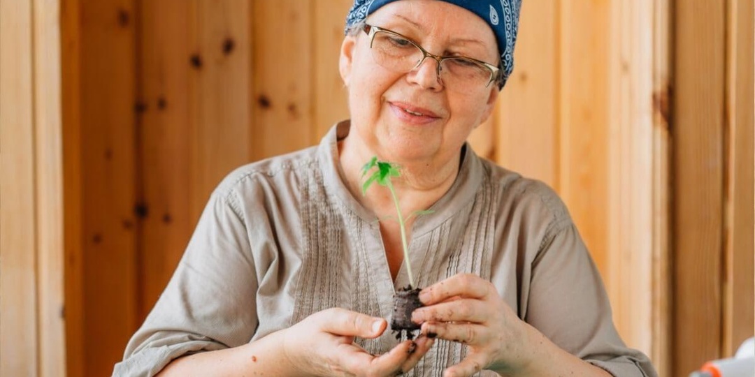 Неправильная подкормка рассады не только не принесет пользы растениям, но и может нанести непоправимый вред! рассказали, что же мешает