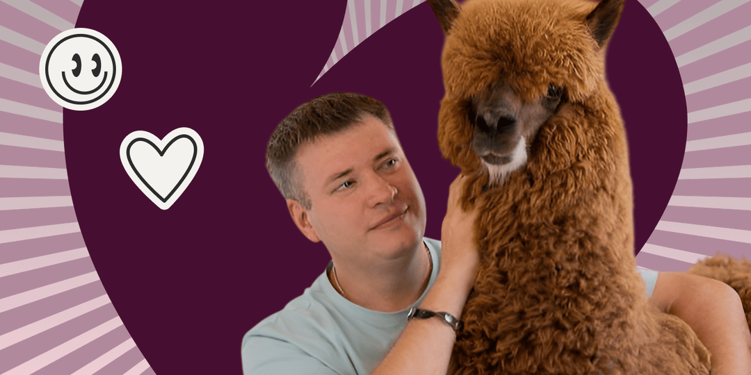 «Гнался за метриками, а теперь глажу альпак». Как топ-менеджер госкомпании бросил карьеру ради семейного бизнеса