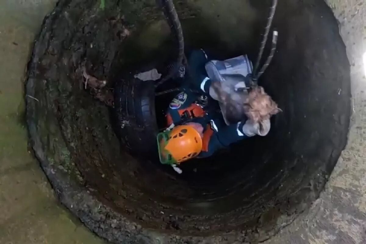 Фото и видео: пресс-служба ЮРПСО МЧС России