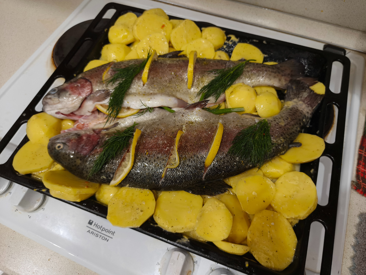 Радужная форель. 