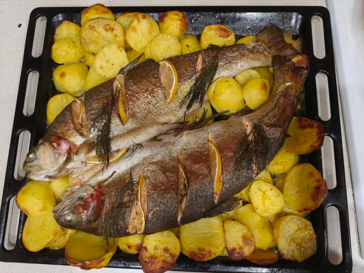 Готовая радужная форель