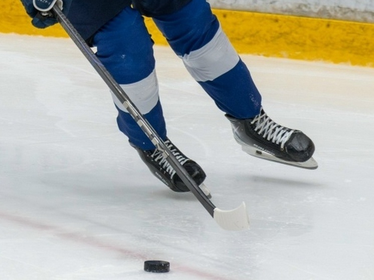     Фото: ХК "Буран" Воронеж