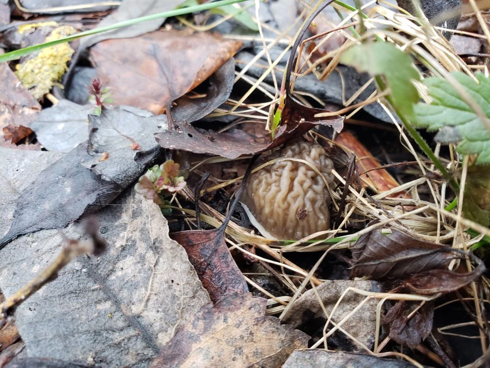 Фото Жабуси. 02.04.26