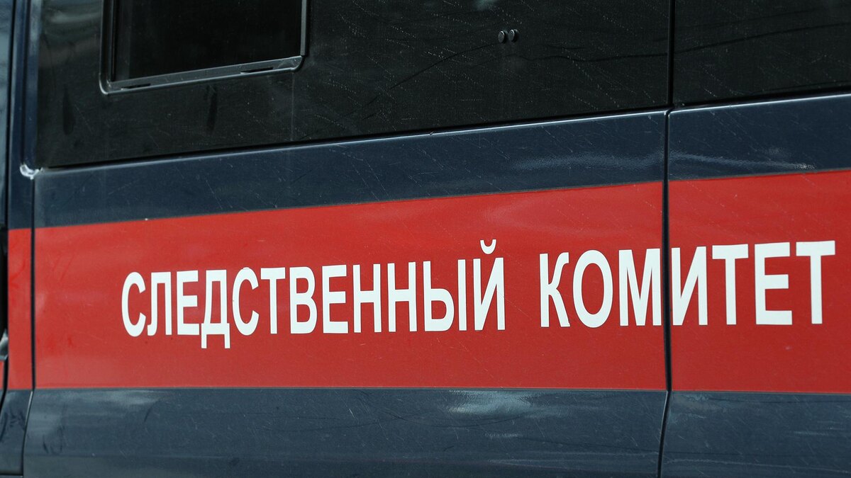    Фото: ИЗВЕСТИЯ/Михаил Терещенко